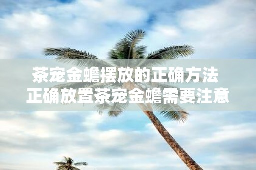 茶宠金蟾摆放的正确方法 正确放置茶宠金蟾需要注意哪些方法 茶宠金蟾摆放的正确方法 正确放置茶宠金蟾需要注意哪些方法