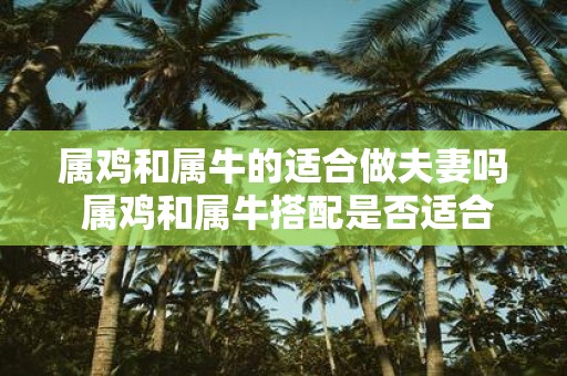 属鸡和属牛的适合做夫妻吗 属鸡和属牛搭配是否适合成为夫妻