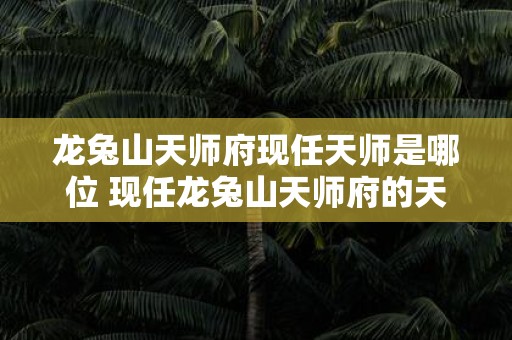 龙兔山天师府现任天师是哪位 现任龙兔山天师府的天师是谁