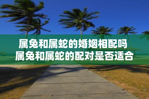 属兔和属蛇的婚姻相配吗 属兔和属蛇的配对是否适合结婚