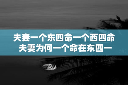 夫妻一个东四命一个西四命 夫妻为何一个命在东四一个命在西四