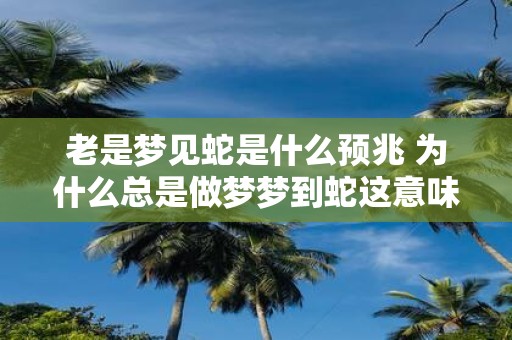 老是梦见蛇是什么预兆 为什么总是做梦梦到蛇这意味着什么