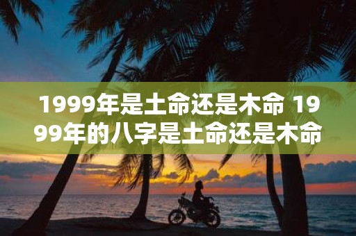 1999年是土命还是木命 1999年的八字是土命还是木命