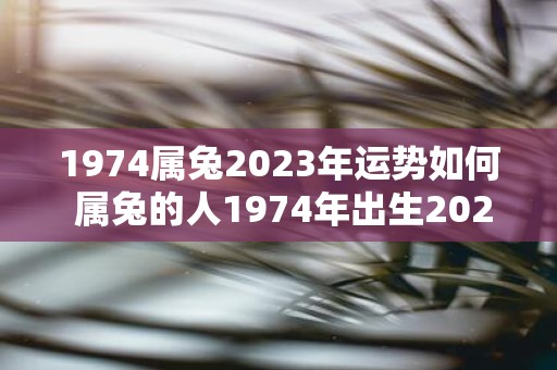 1974属兔2025年运势如何 属兔的人1974年出生2025年的运势如何