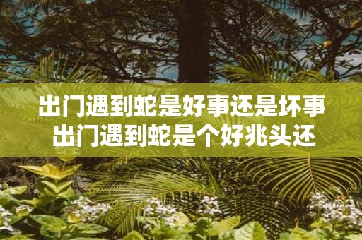 出门遇到蛇是好事还是坏事 出门遇到蛇是个好兆头还是坏兆头呢