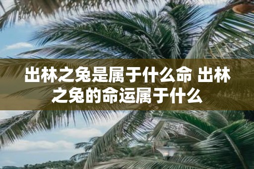 出林之兔是属于什么命 出林之兔的命运属于什么