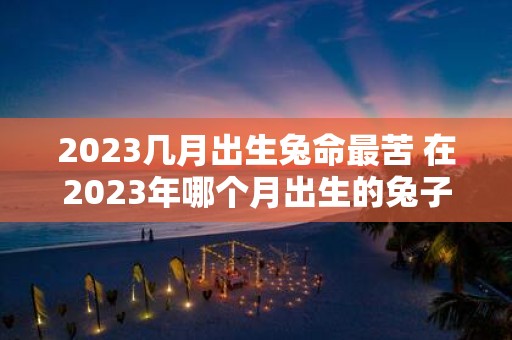 2025几月出生兔命最苦 在2025年哪个月出生的兔子命运最不好