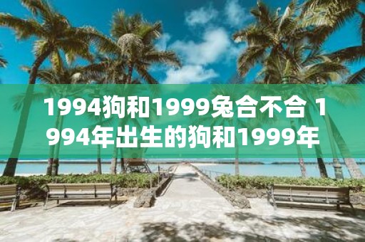 1994狗和1999兔合不合 1994年出生的狗和1999年出生的兔子能否成为好朋友