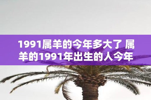 1991属羊的今年多大了 属羊的1991年出生的人今年多少岁了