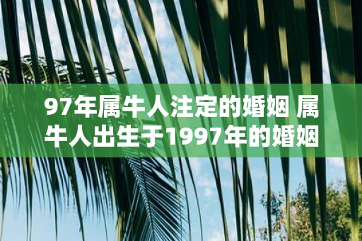 97年属牛人注定的婚姻 属牛人出生于1997年的婚姻缘分会怎样