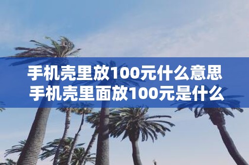 手机壳里放100元什么意思 手机壳里面放100元是什么意思