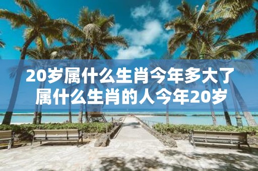 20岁属什么生肖今年多大了 属什么生肖的人今年20岁了吗