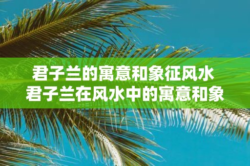 君子兰的寓意和象征风水 君子兰在风水中的寓意和象征有哪些
