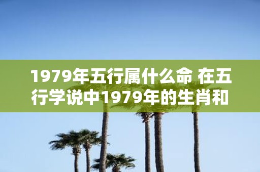 1979年五行属什么命 在五行学说中1979年的生肖和五行属性是什么