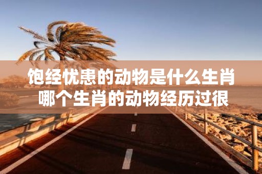 饱经忧患的动物是什么生肖 哪个生肖的动物经历过很多困难和烦恼
