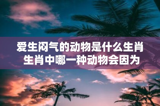 爱生闷气的动物是什么生肖 生肖中哪一种动物会因为爱而生闷气