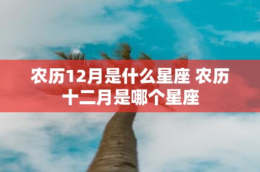 农历12月是什么星座 农历十二月是哪个星座