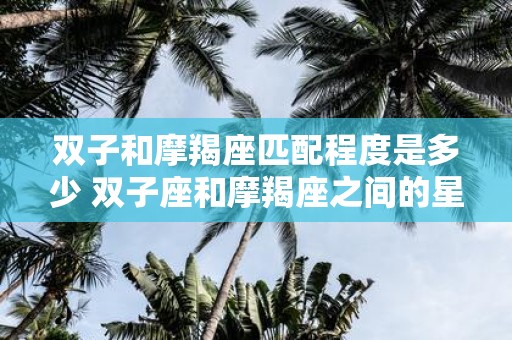 双子和摩羯座匹配程度是多少 双子座和摩羯座之间的星座配对有多少匹配度