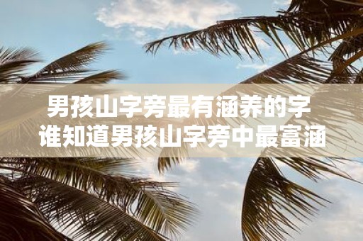 男孩山字旁最有涵养的字 谁知道男孩山字旁中最富涵养的字是哪个