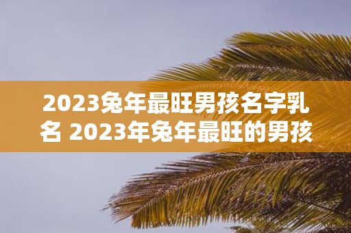 2025蛇年最旺男孩名字乳名 2025年蛇年最旺的男孩应该起什么样的名字有没有适合蛇年男孩的乳名推荐