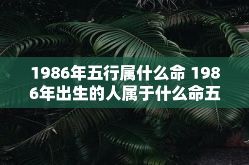 1986年五行属什么命 1986年出生的人属于什么命五行属性是什么
