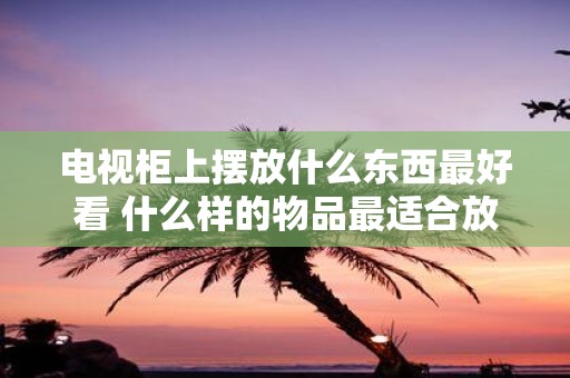 电视柜上摆放什么东西最好看 什么样的物品最适合放在电视柜上以提升美观效果