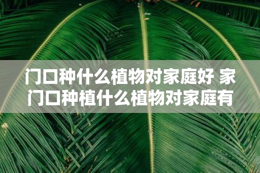 门口种什么植物对家庭好 家门口种植什么植物对家庭有益