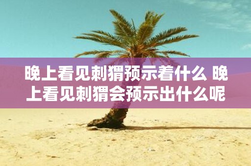 晚上看见刺猬预示着什么 晚上看见刺猬会预示出什么呢