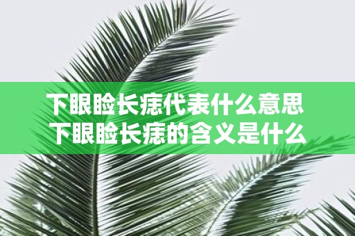 下眼睑长痣代表什么意思 下眼睑长痣的含义是什么