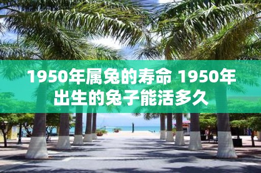 1950年属兔的寿命 1950年出生的兔子能活多久