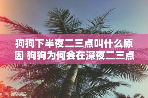 狗狗下半夜二三点叫什么原因 狗狗为何会在深夜二三点不停叫