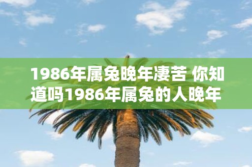 1986年属兔晚年凄苦 你知道吗1986年属兔的人晚年会有很多苦难