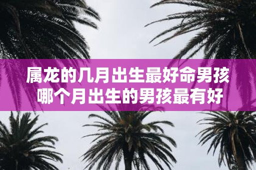属龙的几月出生最好命男孩 哪个月出生的男孩最有好命如果是属龙的