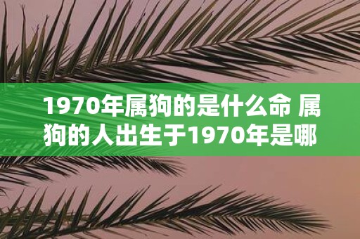 1970年属狗的是什么命 属狗的人出生于1970年是哪一年的生肖