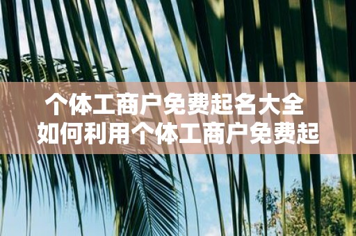 个体工商户免费起名大全 如何利用个体工商户免费起名大全为自己的个体工商户起一个合适的名字