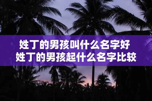 姓丁的男孩叫什么名字好 姓丁的男孩起什么名字比较合适