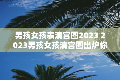男孩女孩表清宫图2025 2025男孩女孩清宫图出炉你知道怎样辨别吗