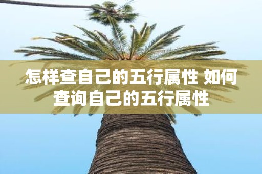 怎样查自己的五行属性 如何查询自己的五行属性