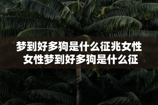 梦到好多狗是什么征兆女性 女性梦到好多狗是什么征兆