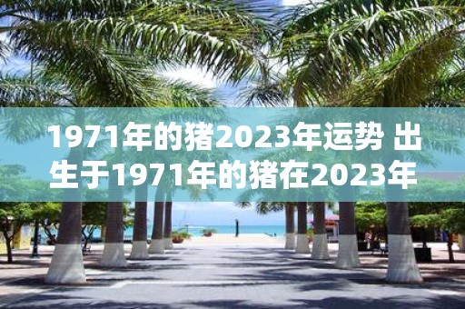 1971年的猪2025年运势 出生于1971年的猪在2025年会有怎样的运势