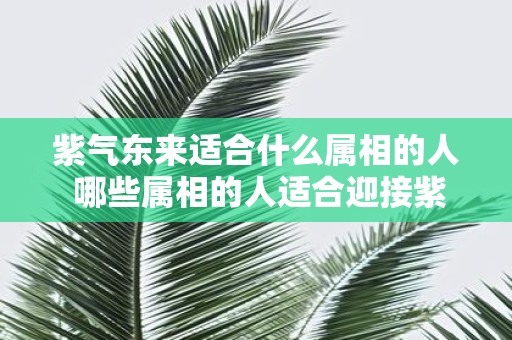 紫气东来适合什么属相的人 哪些属相的人适合迎接紫气东来
