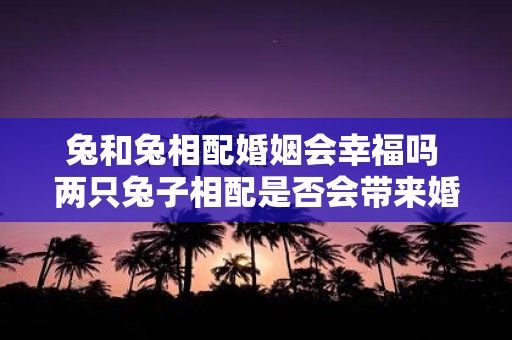 兔和兔相配婚姻会幸福吗 两只兔子相配是否会带来婚姻的幸福