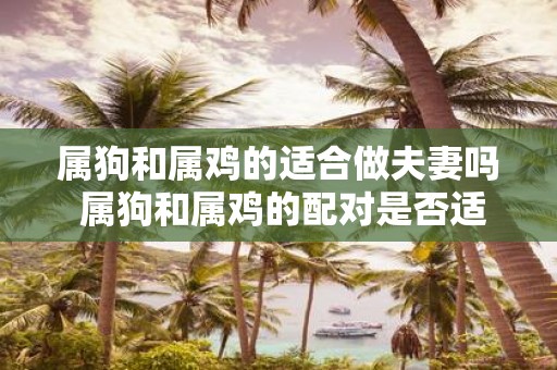 属狗和属鸡的适合做夫妻吗 属狗和属鸡的配对是否适合成为夫妻