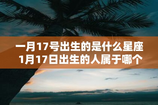 一月17号出生的是什么星座 1月17日出生的人属于哪个星座