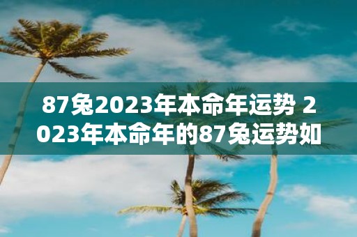 87兔2025年本命年运势 2025年本命年的87兔运势如何