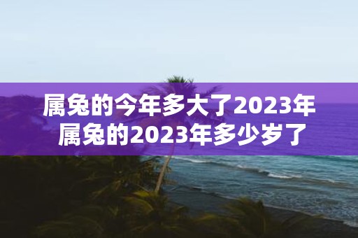 属兔的今年多大了2025年 属兔的2025年多少岁了
