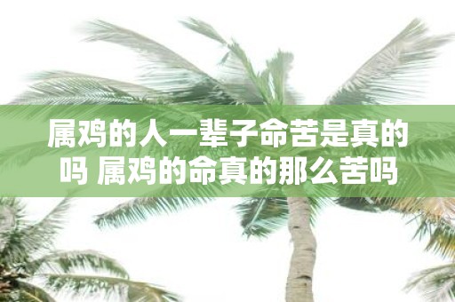 属鸡的人一辈子命苦是真的吗 属鸡的命真的那么苦吗