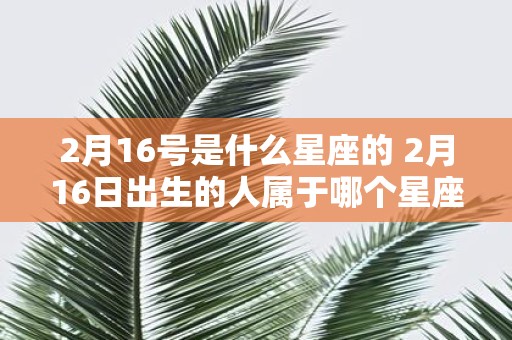 2月16号是什么星座的 2月16日出生的人属于哪个星座