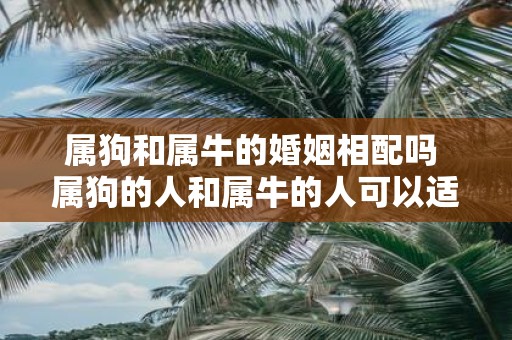属狗和属牛的婚姻相配吗 属狗的人和属牛的人可以适合婚姻吗