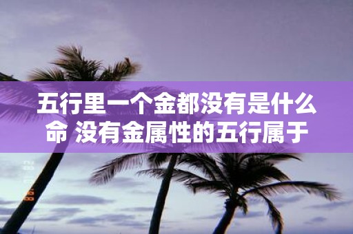 五行里一个金都没有是什么命 没有金属性的五行属于什么命